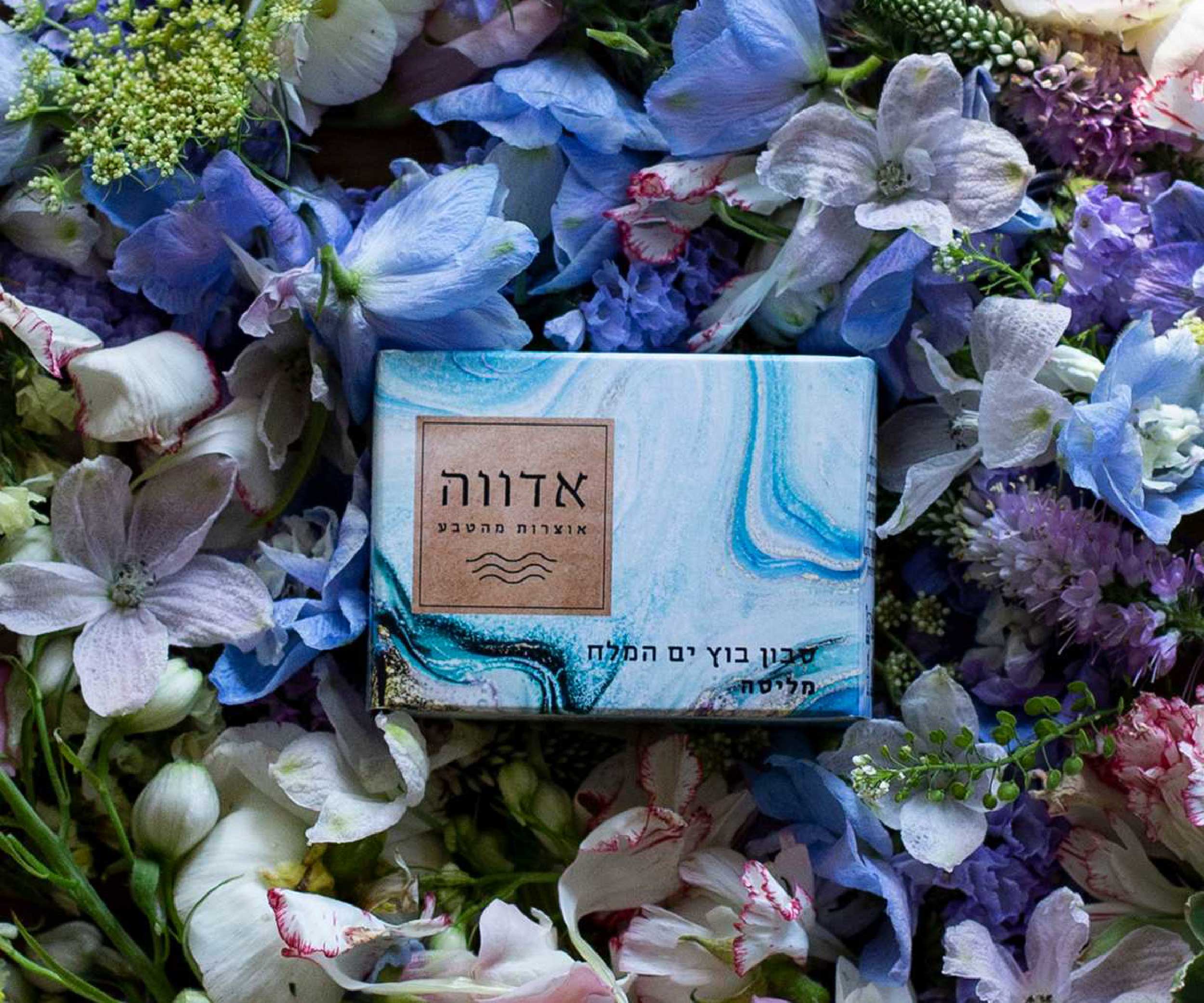 אדווה
